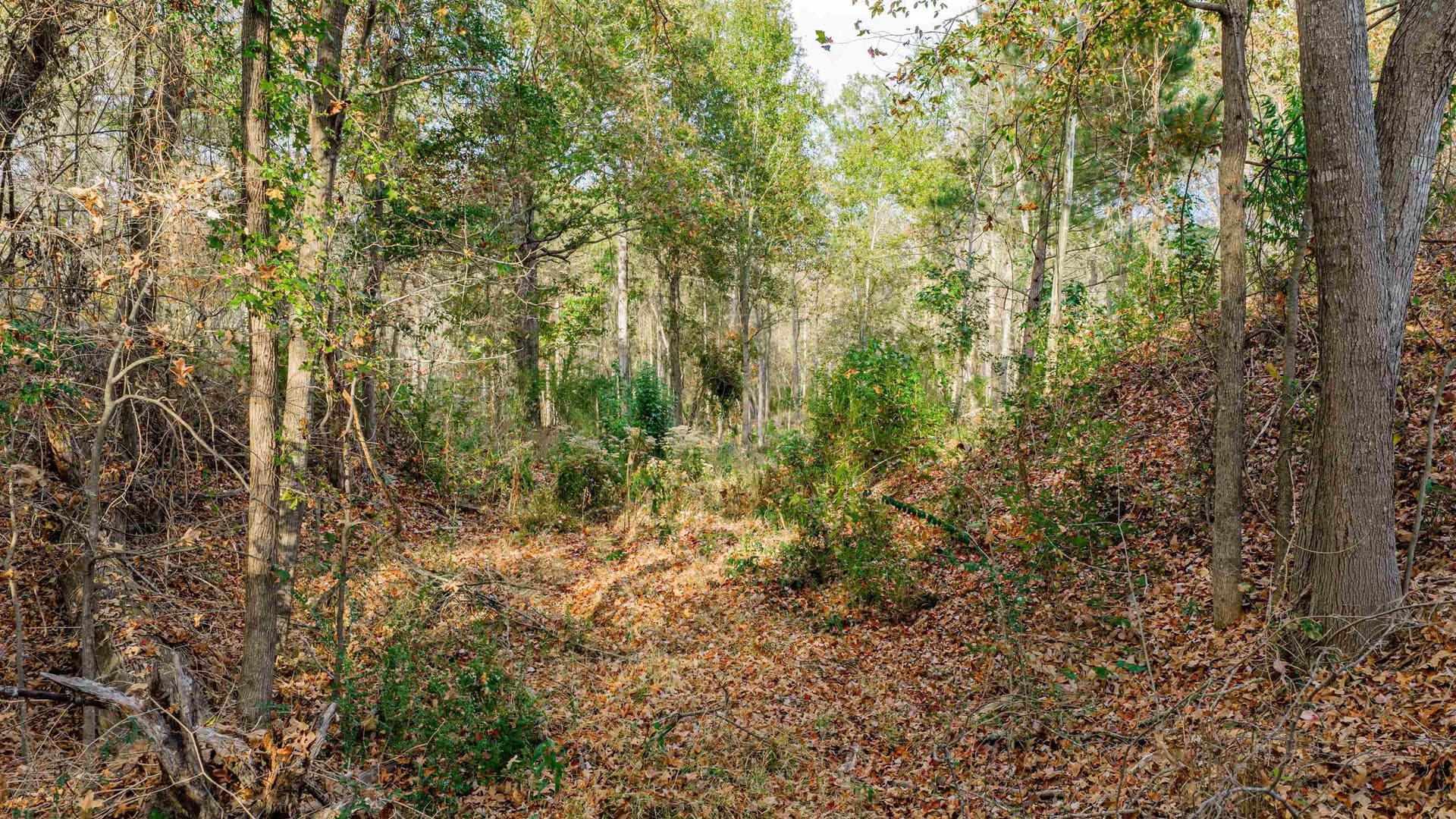 6.09 acres in Gregg County featured view