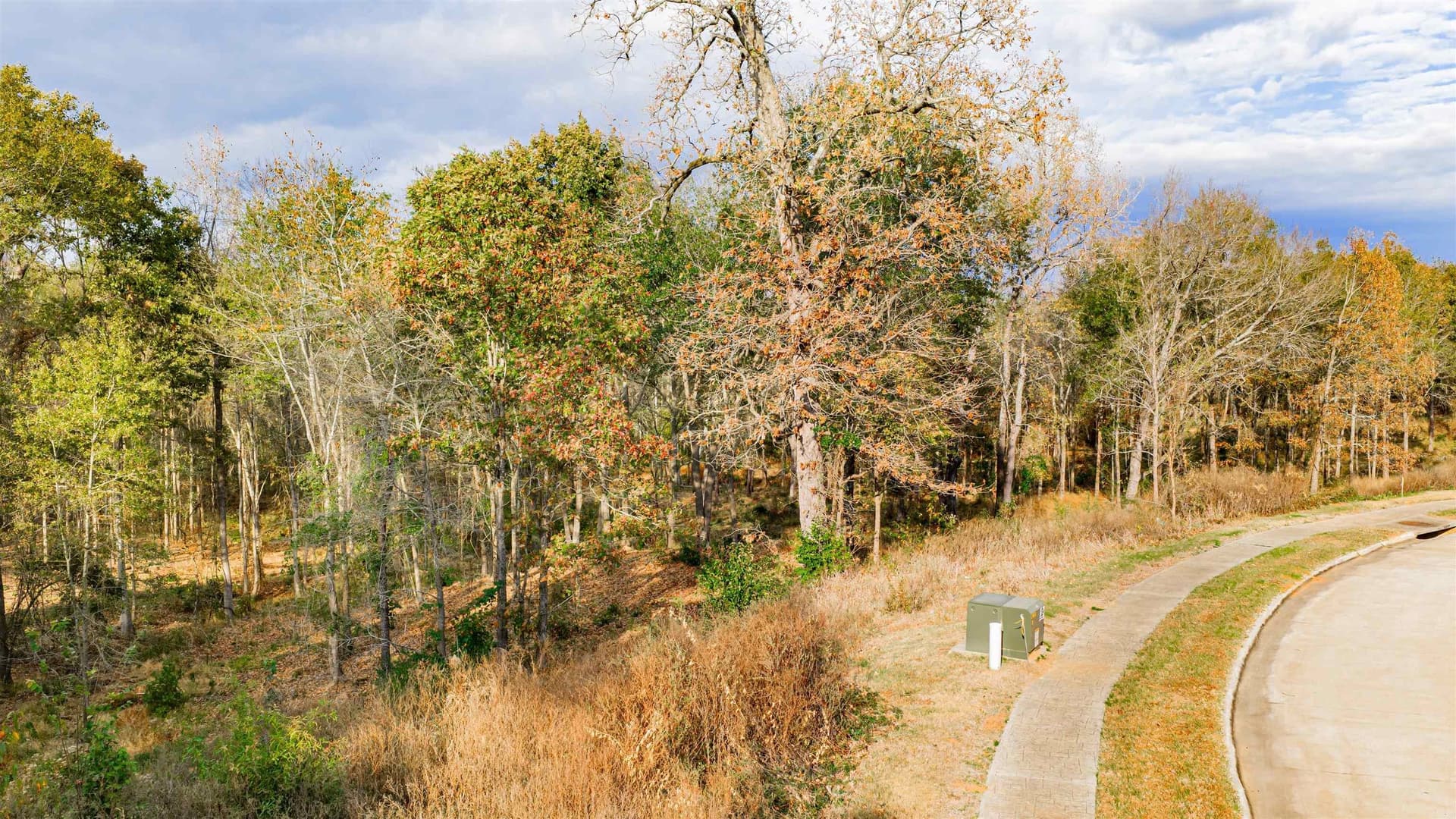 6.09 acres in Gregg County - photo 15