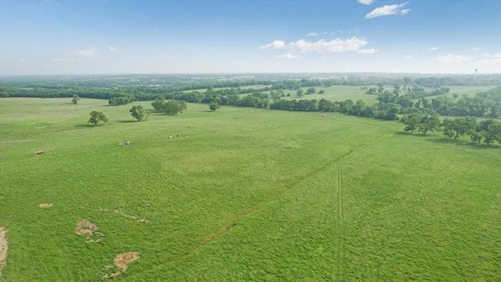 229.3 acres in Fannin County gallery image 2