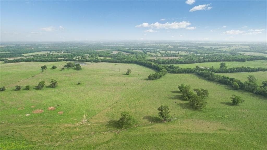 229.3 acres in Fannin County gallery image 3