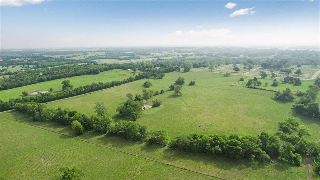 229.3 acres in Fannin County gallery image 4