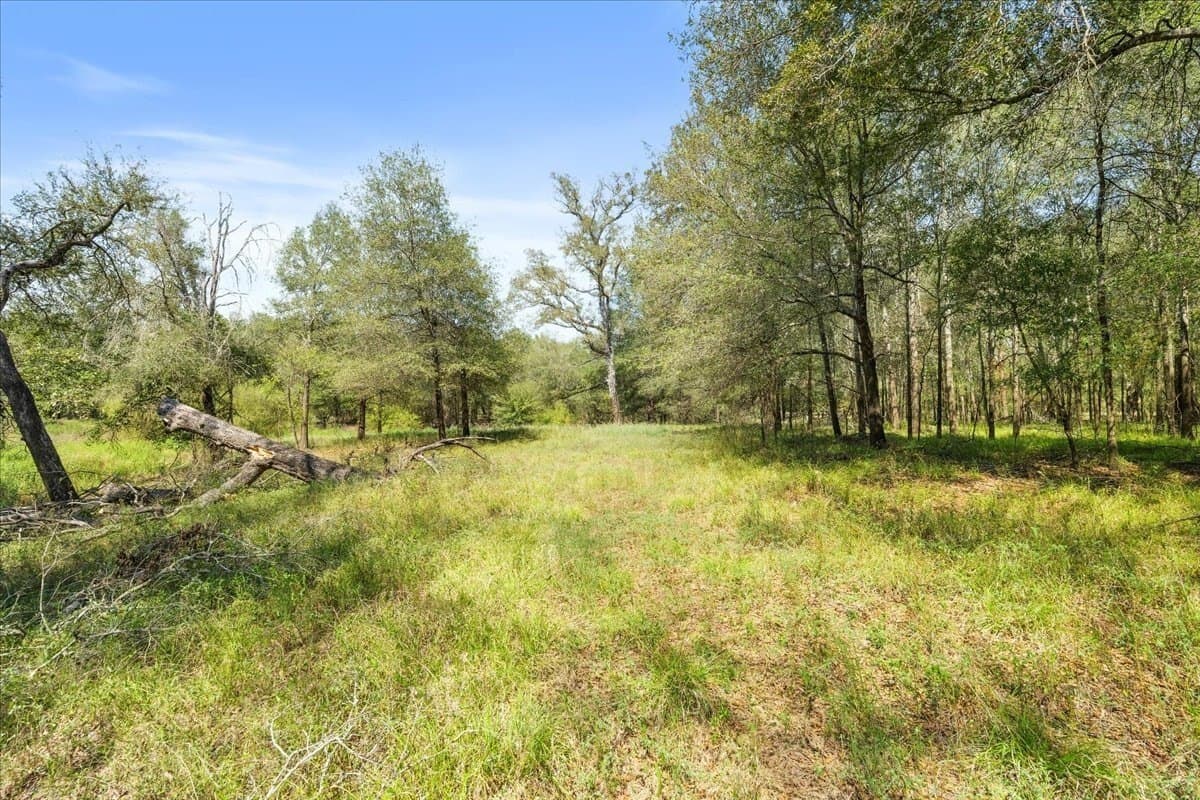 12.67 acres in Leon County - photo 22