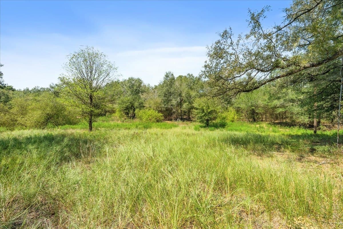 12.67 acres in Leon County - photo 23