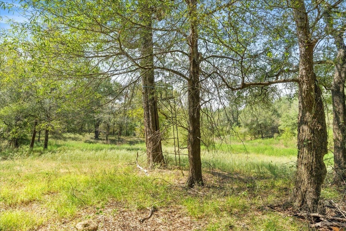 12.67 acres in Leon County - photo 24