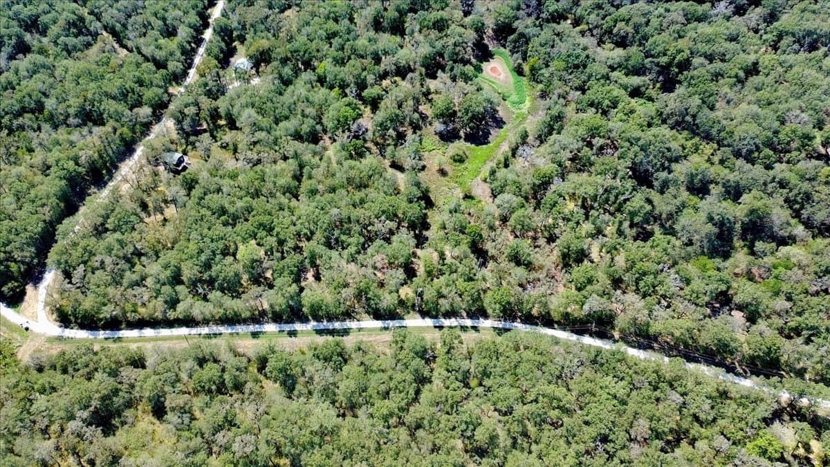 12.67 acres in Leon County - photo 33