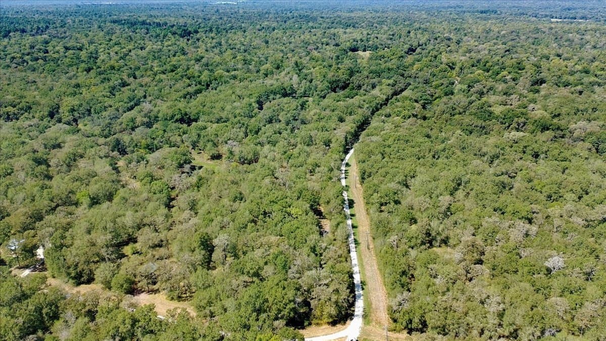 12.67 acres in Leon County - photo 28