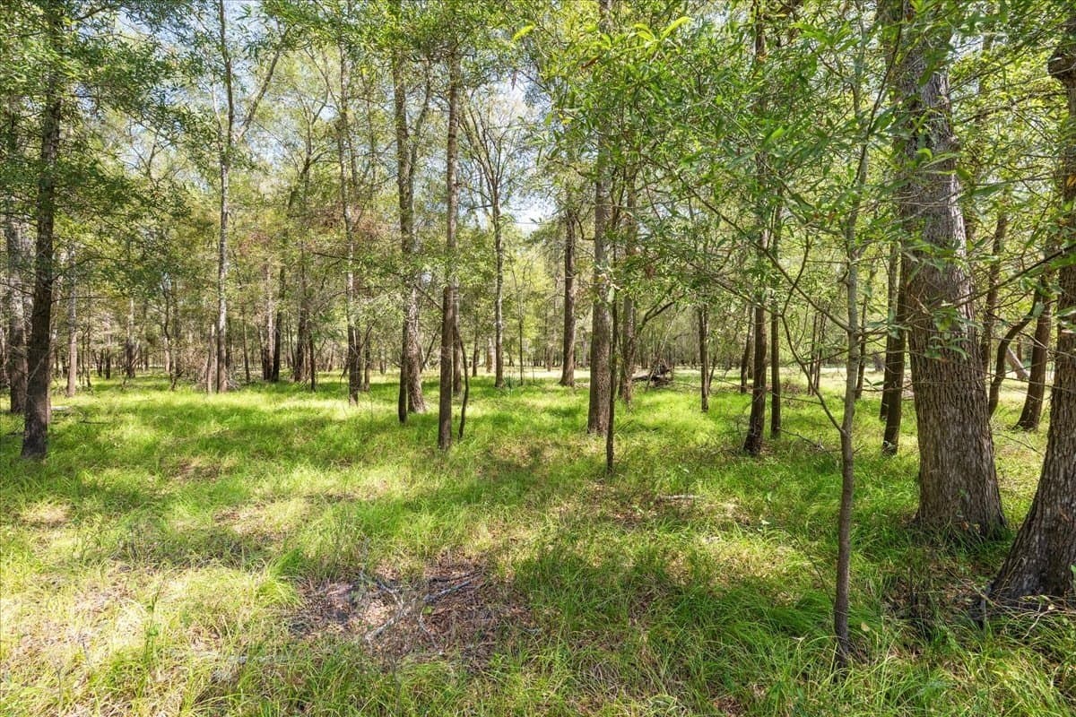 12.67 acres in Leon County - photo 26