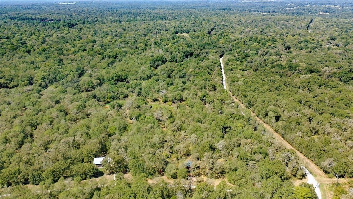 12.67 acres in Leon County - photo 29