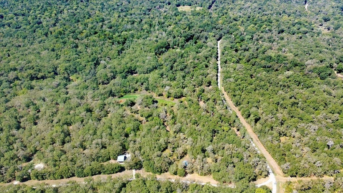 12.67 acres in Leon County - photo 30