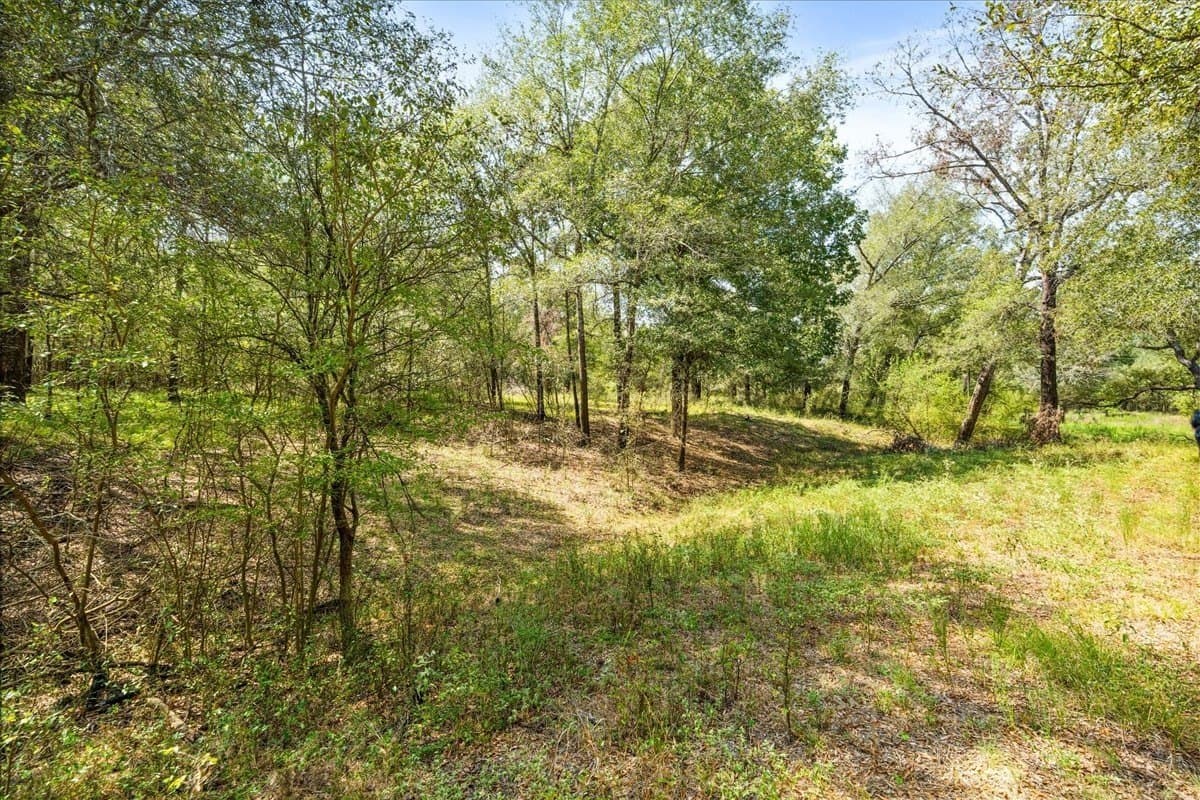 12.67 acres in Leon County - photo 20