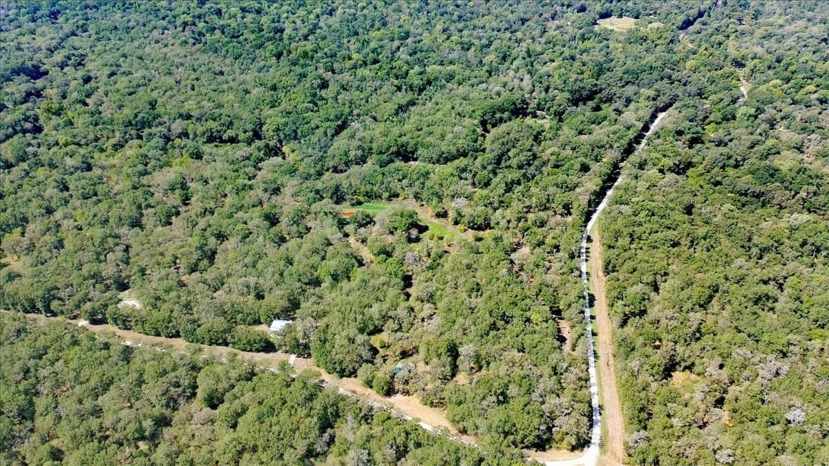 12.67 acres in Leon County - photo 31