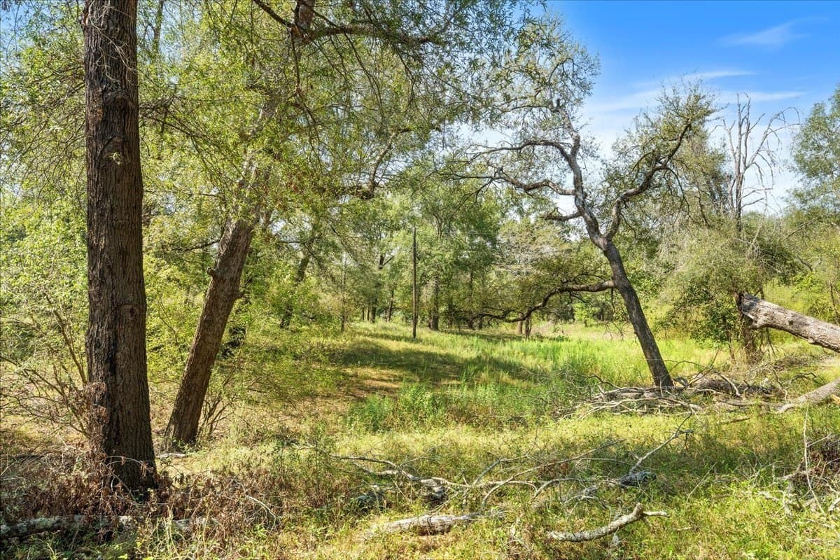 12.67 acres in Leon County - photo 21