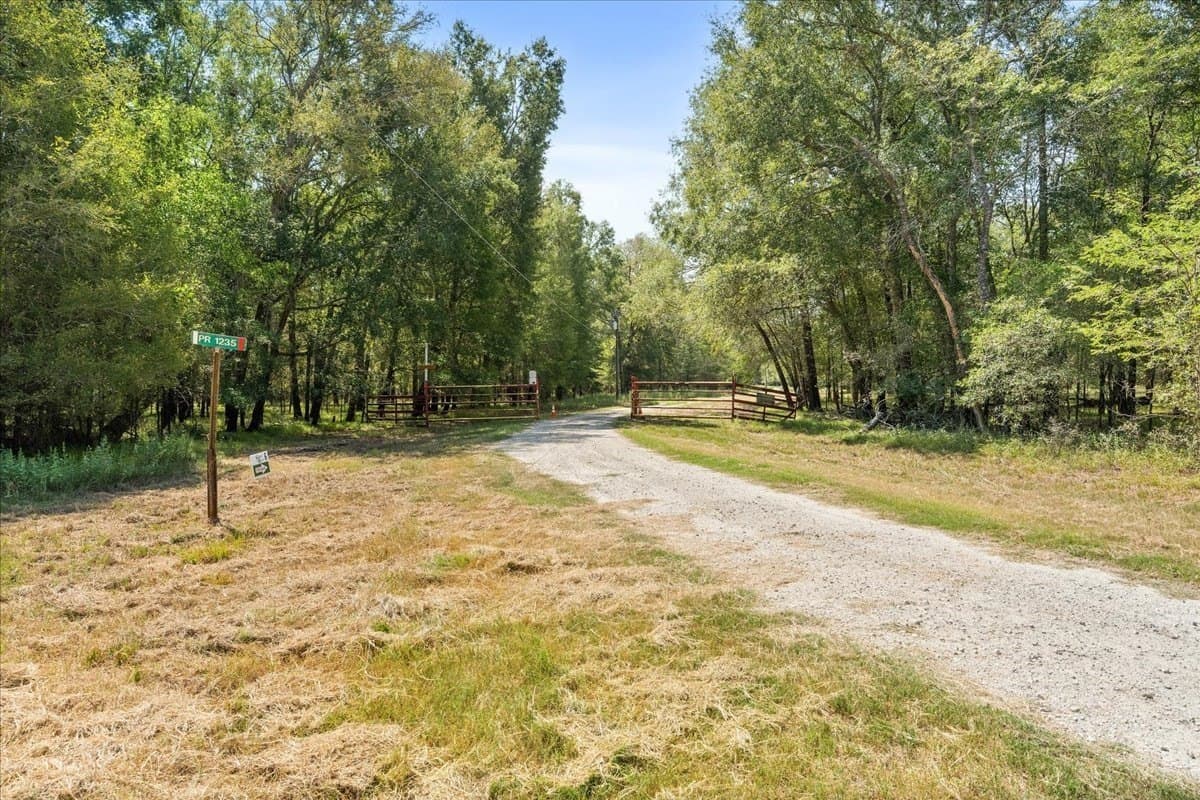 12.67 acres in Leon County - photo 2