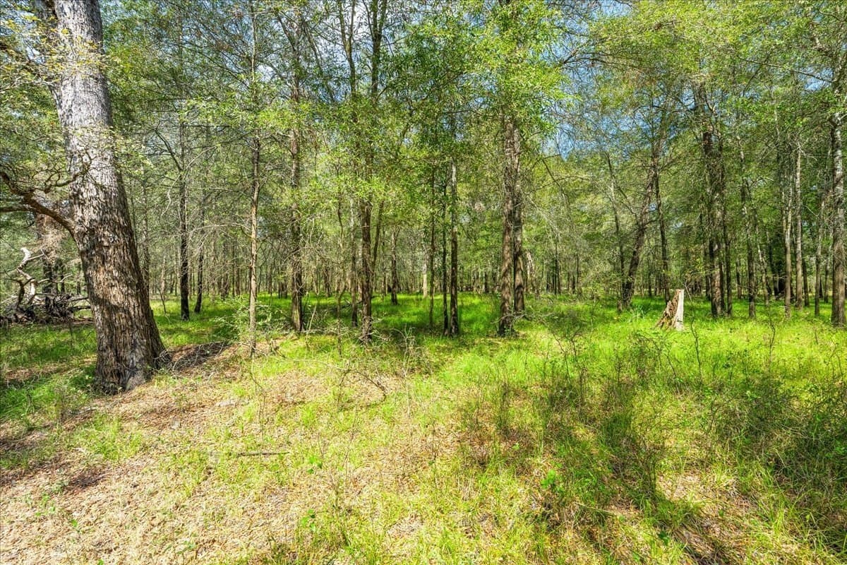 12.67 acres in Leon County - photo 19