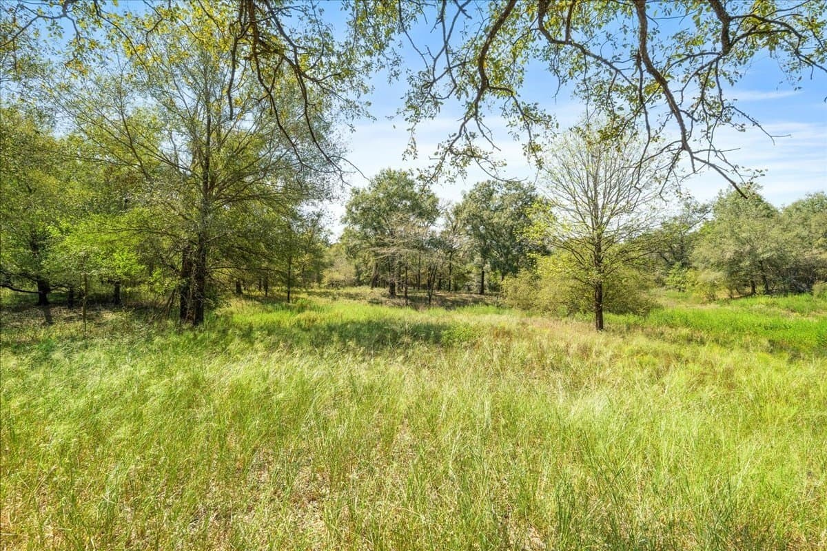 12.67 acres in Leon County - photo 25