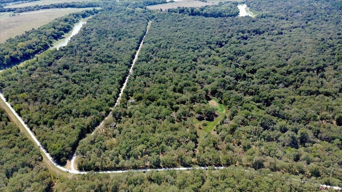 12.67 acres in Leon County - photo 32