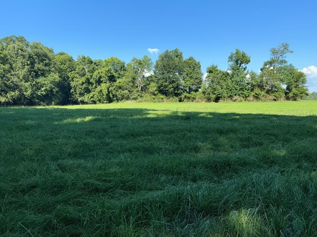 154 acres in Texas County - photo 26