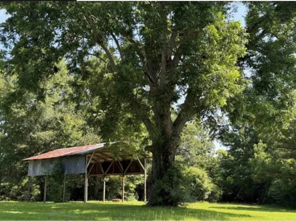 154 acres in Texas County - photo 22