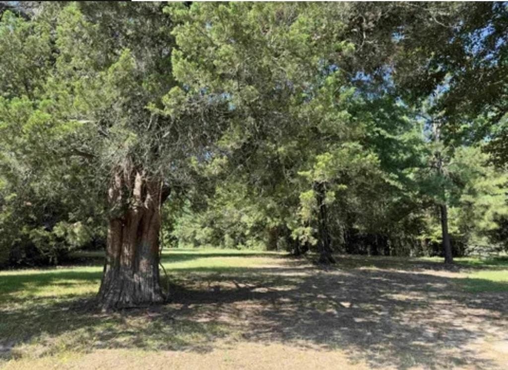 154 acres in Texas County - photo 21