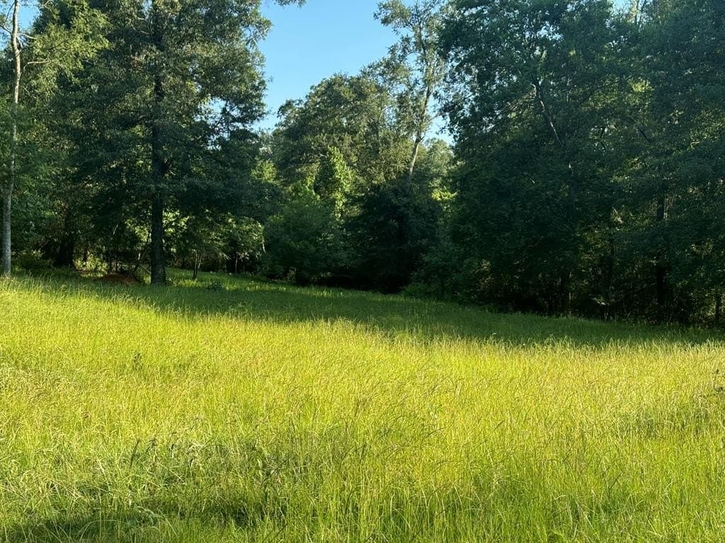 154 acres in Texas County - photo 25