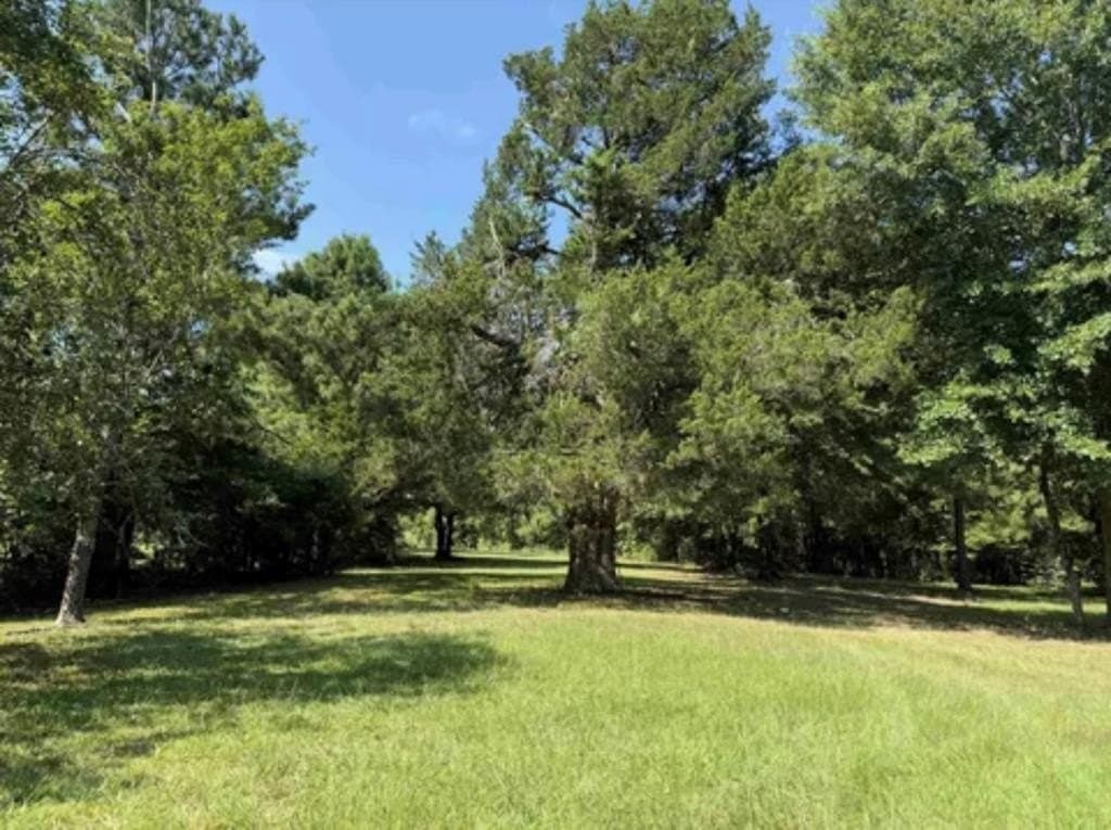 154 acres in Texas County - photo 23