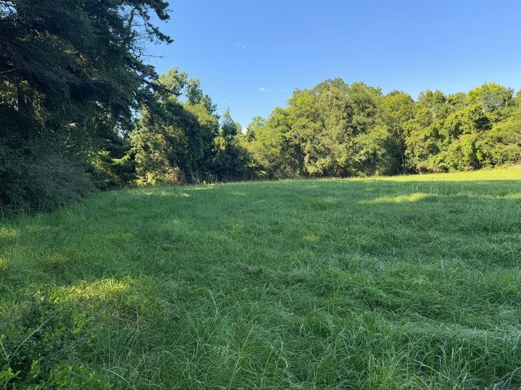 154 acres in Texas County - photo 27