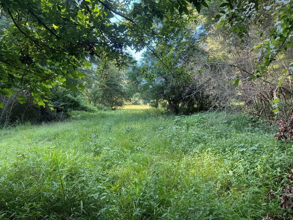 154 acres in Texas County - photo 24