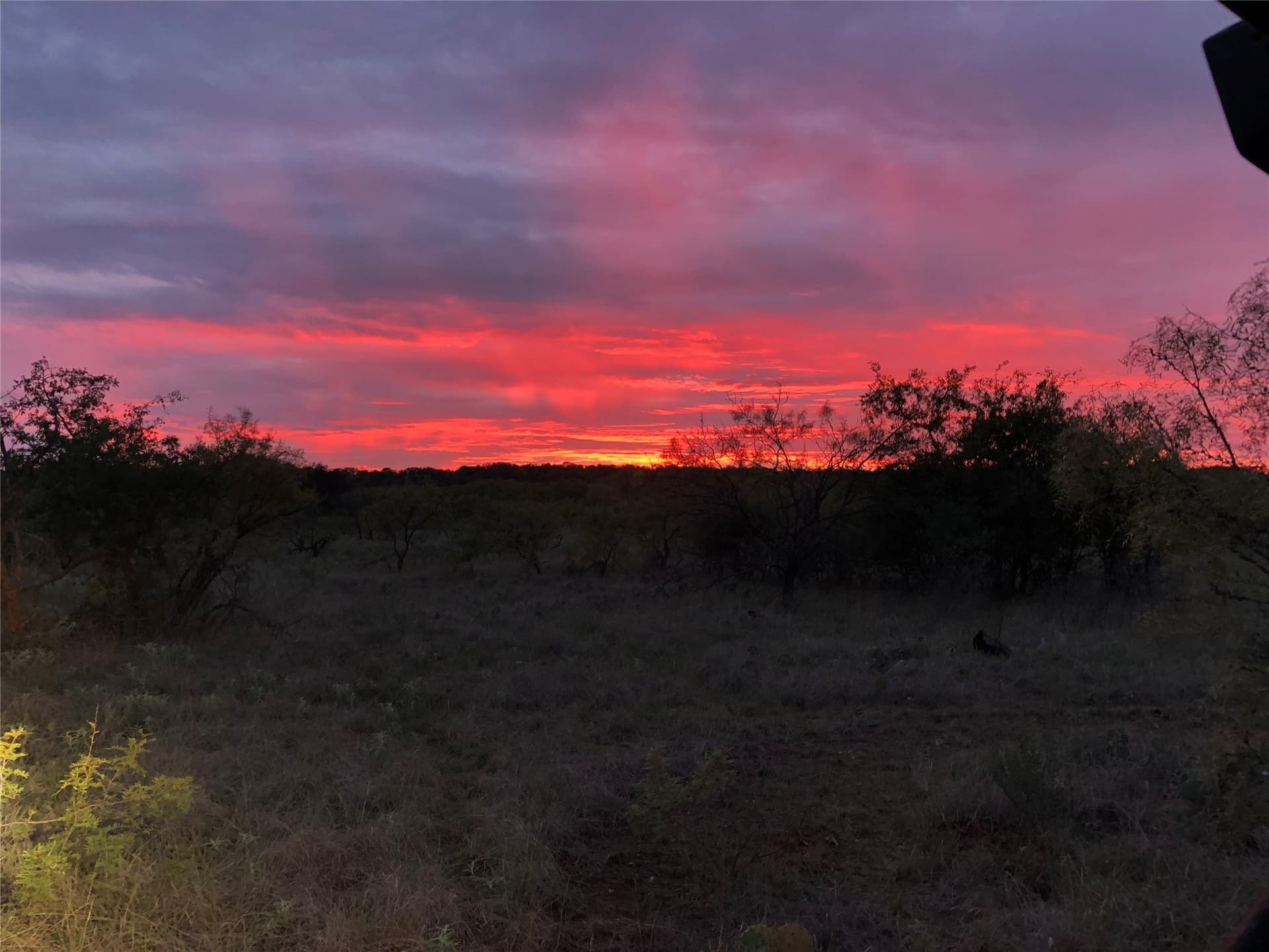 65 acres in Eastland County - photo 8