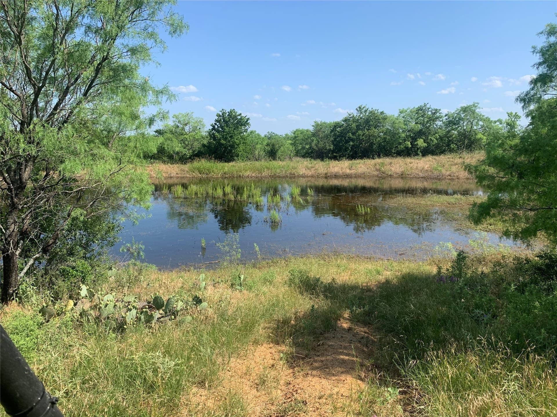 65 acres in Eastland County gallery image 4