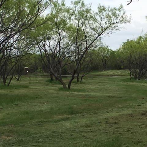 65 acres in Eastland County gallery image 2