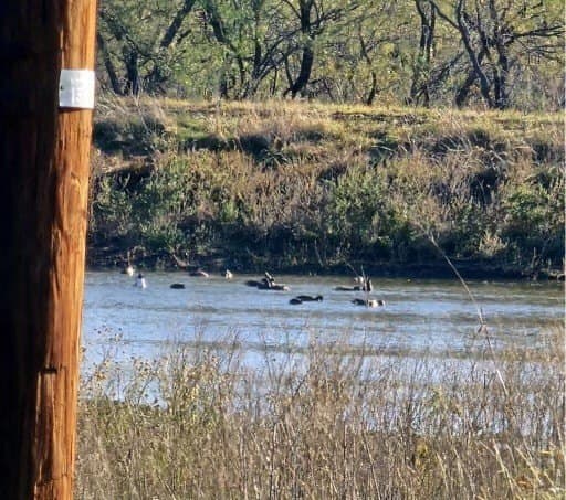 65 acres in Eastland County featured view