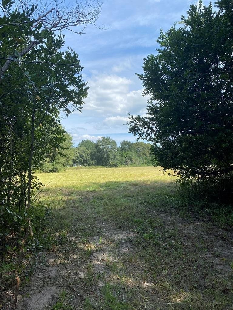 13.98 acres in ANDERSON County - photo 19