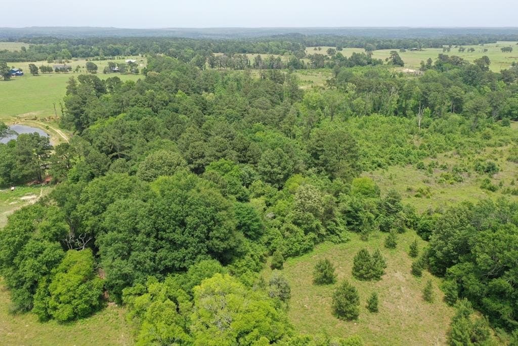 13.98 acres in ANDERSON County - photo 6
