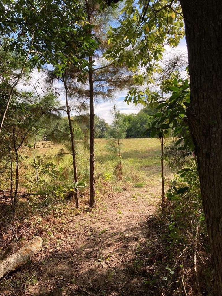 13.98 acres in ANDERSON County - photo 21
