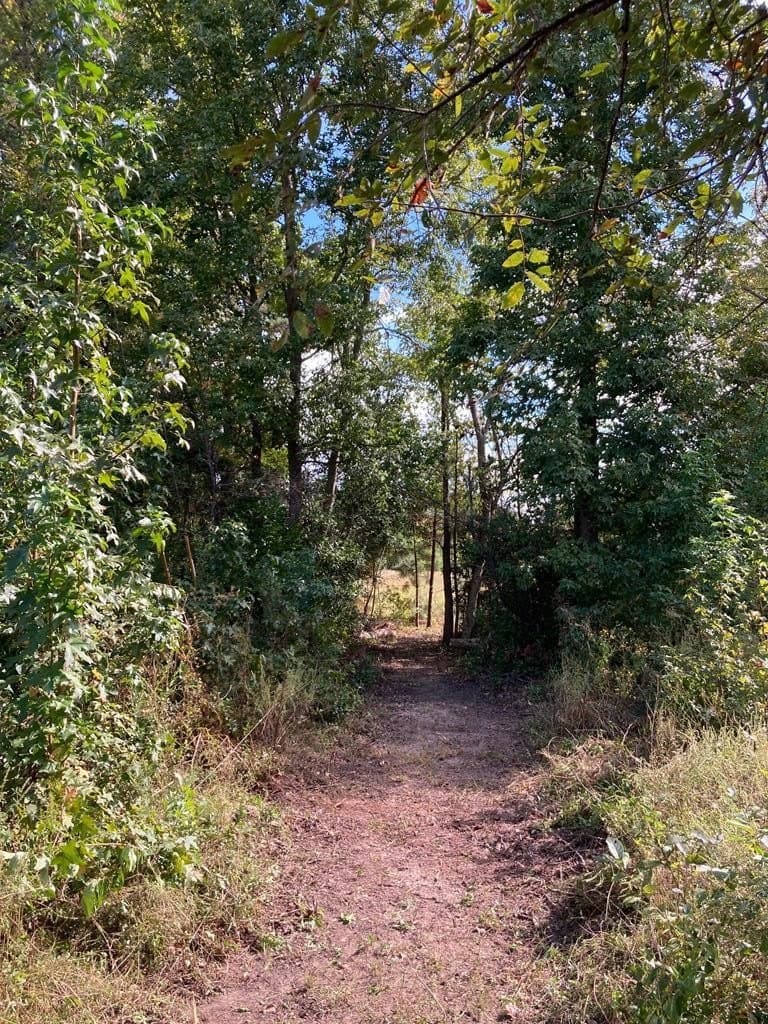 13.98 acres in ANDERSON County - photo 17