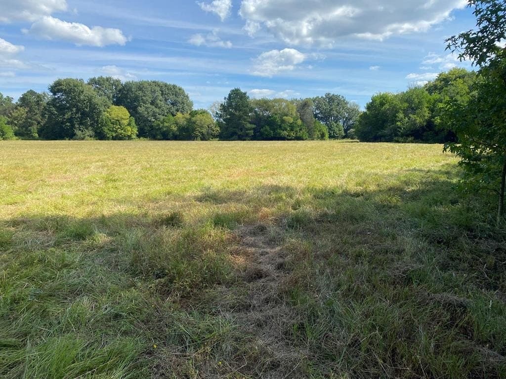 13.98 acres in ANDERSON County - photo 20