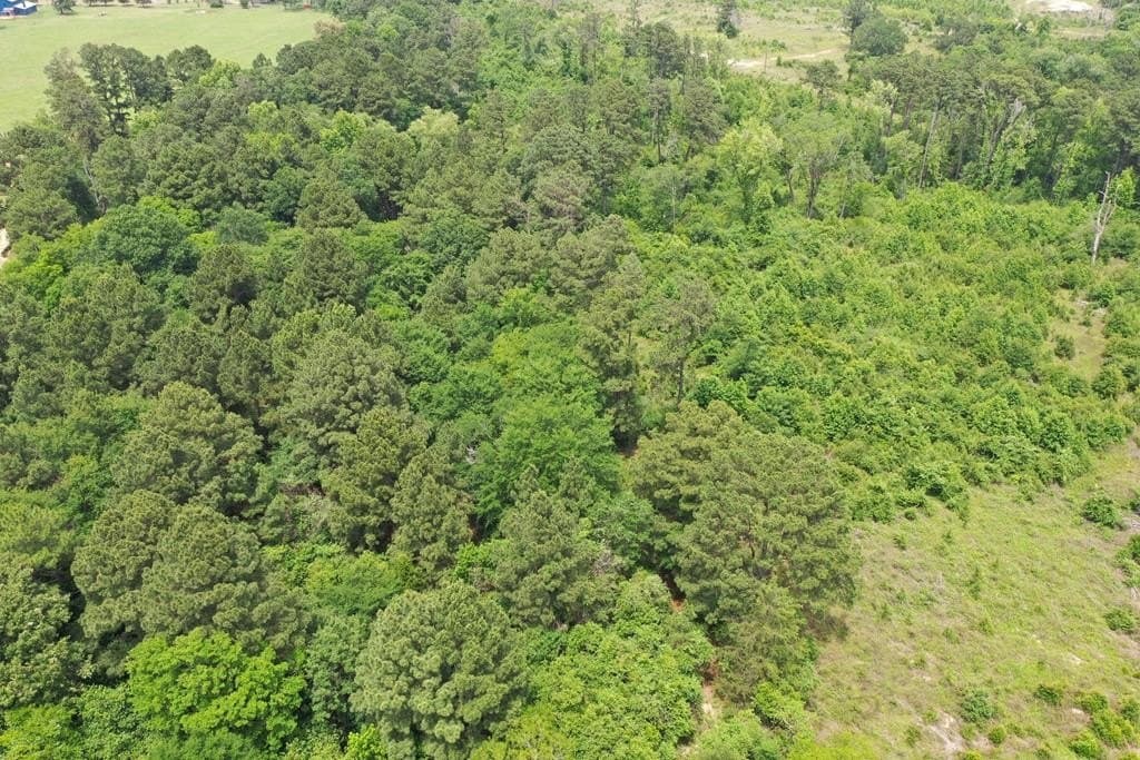 13.98 acres in ANDERSON County - photo 11