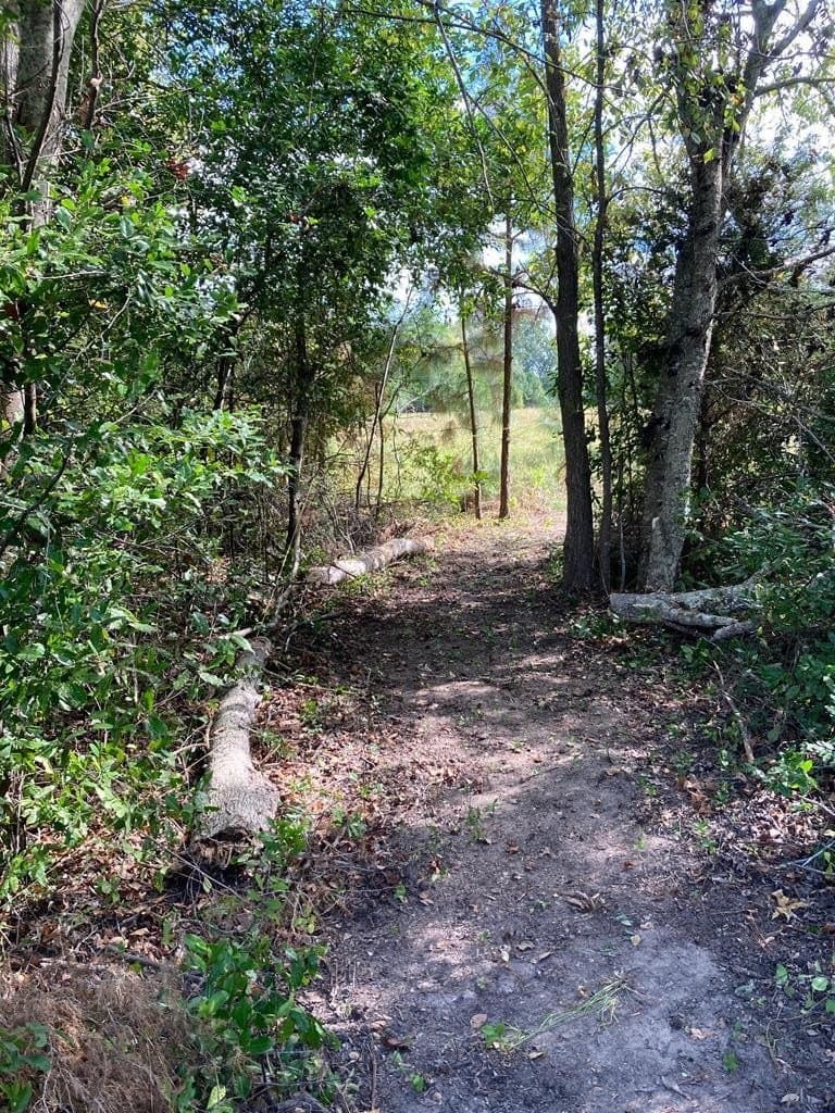 13.98 acres in ANDERSON County - photo 18