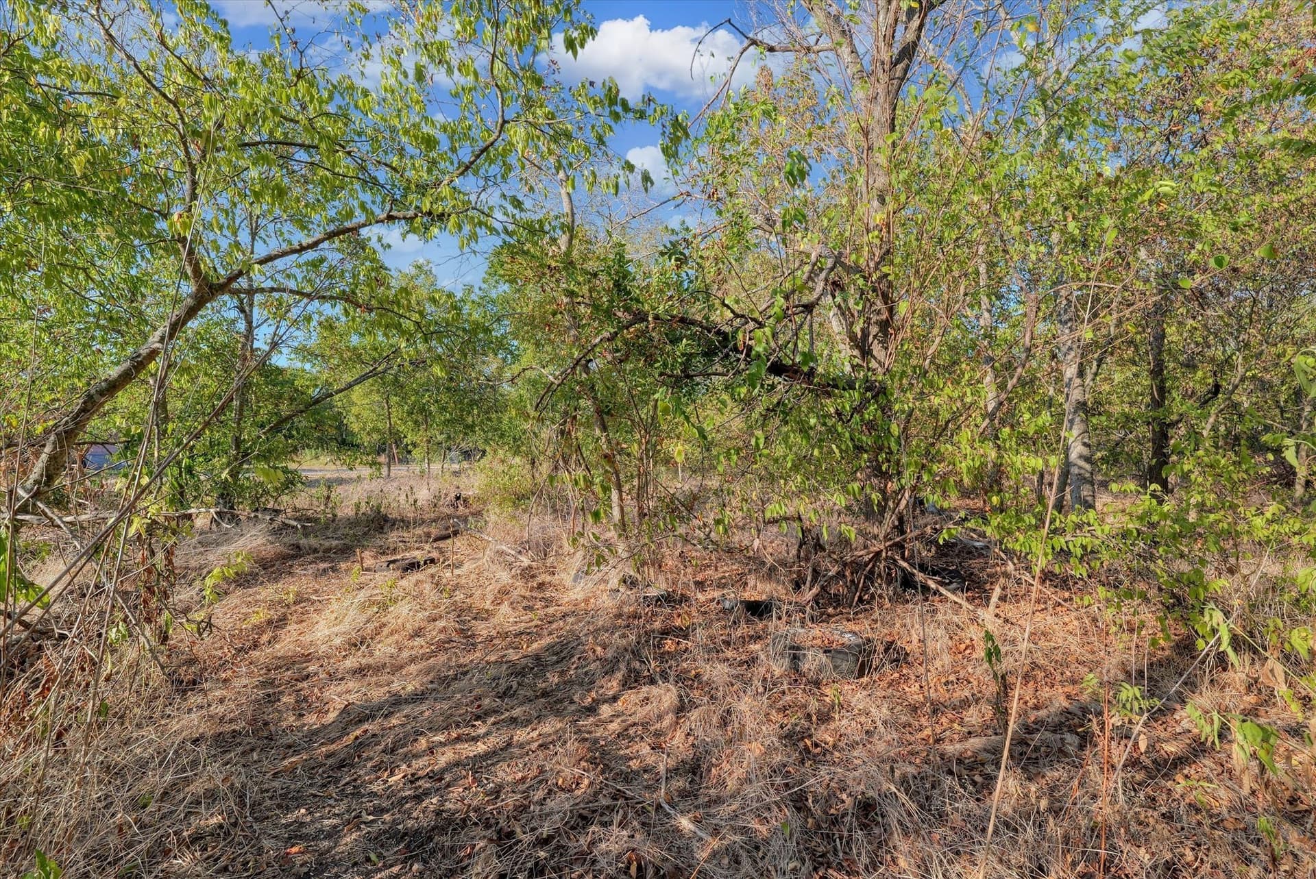 0.19 acres in McLennan County - photo 9