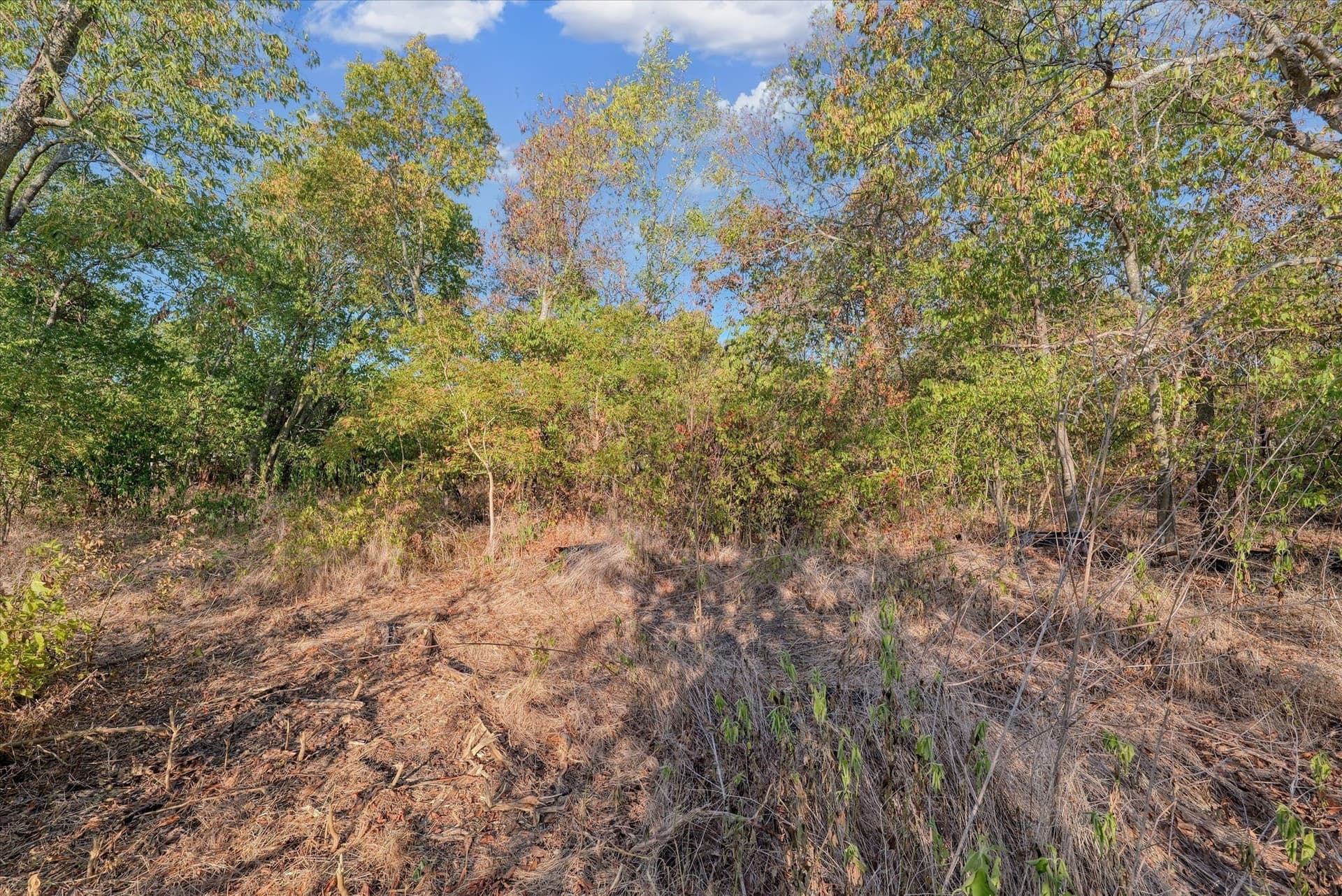 0.19 acres in McLennan County - photo 3