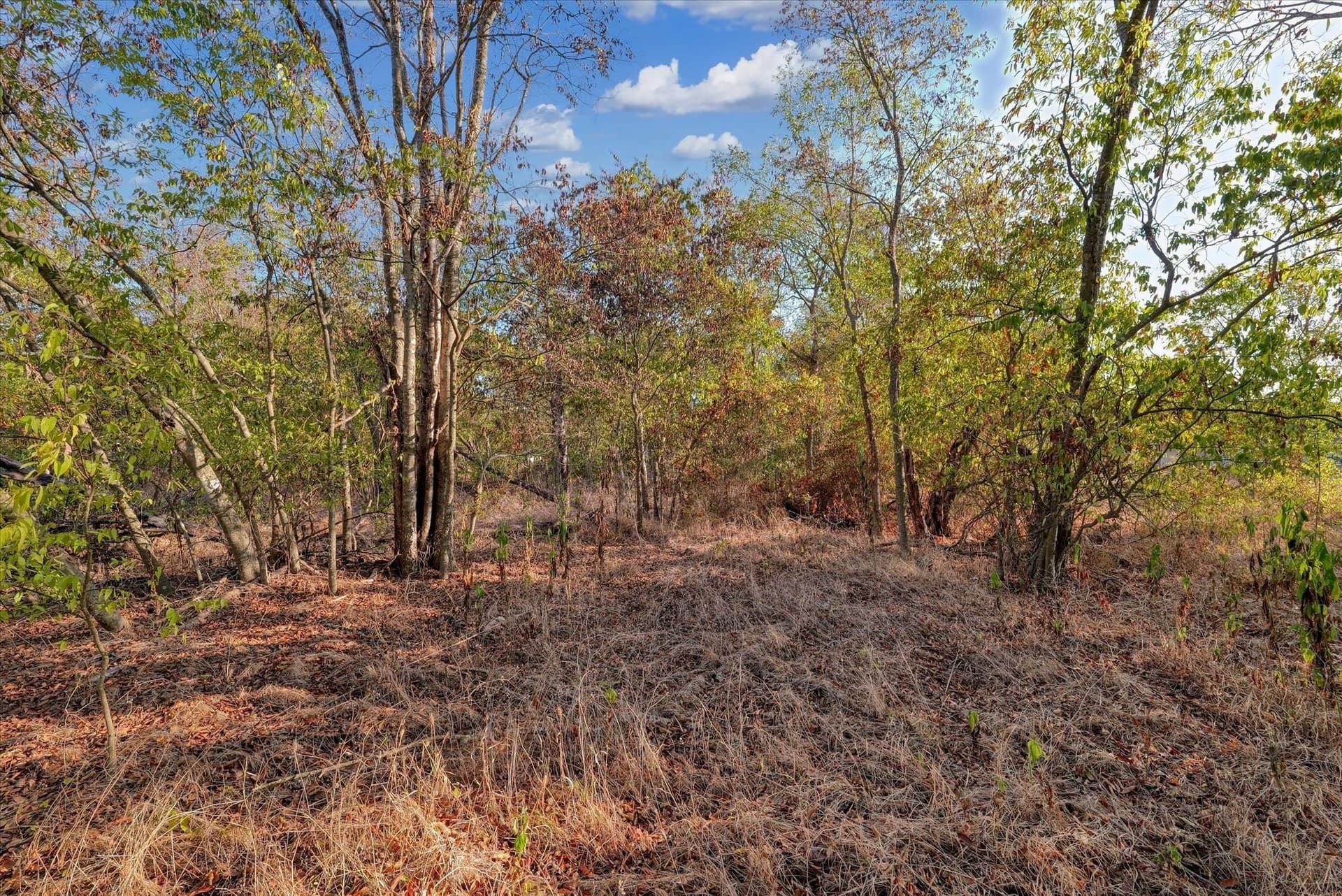 0.19 acres in McLennan County - photo 4