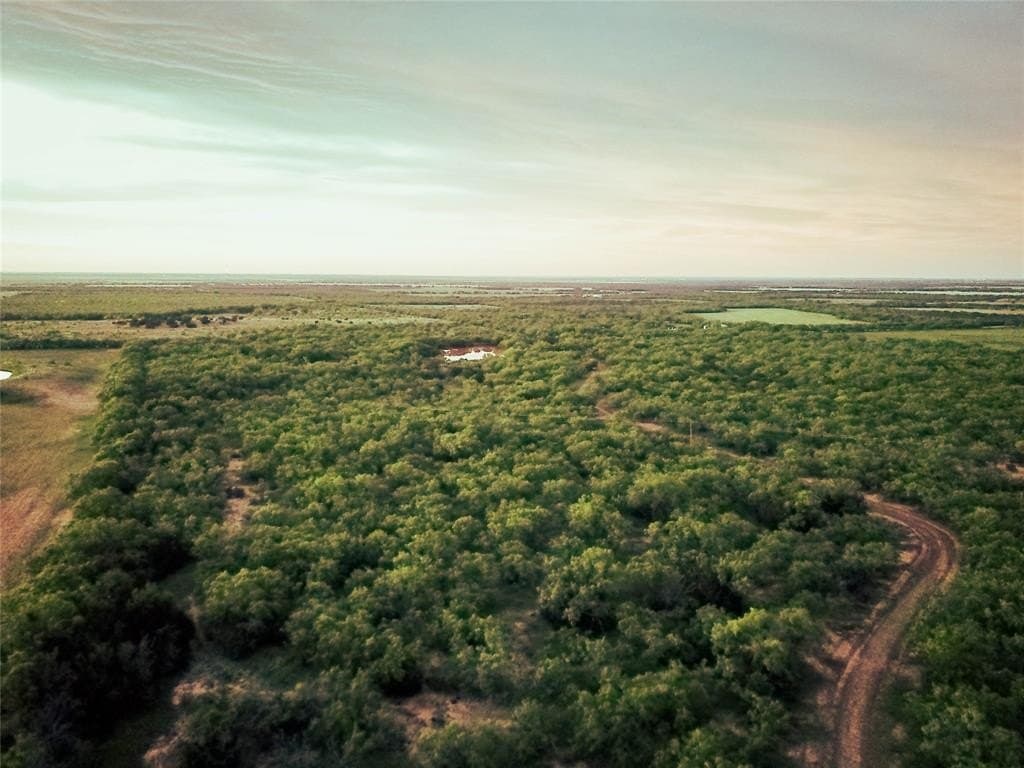 250 acres in Taylor County gallery image 3