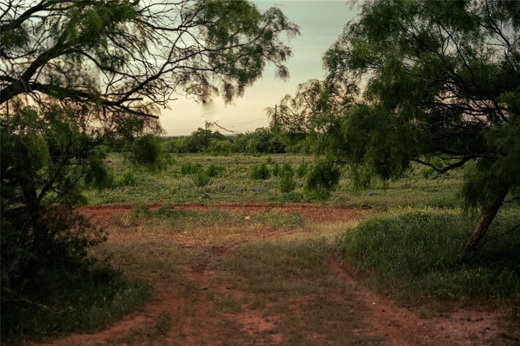 250 acres in Taylor County featured view