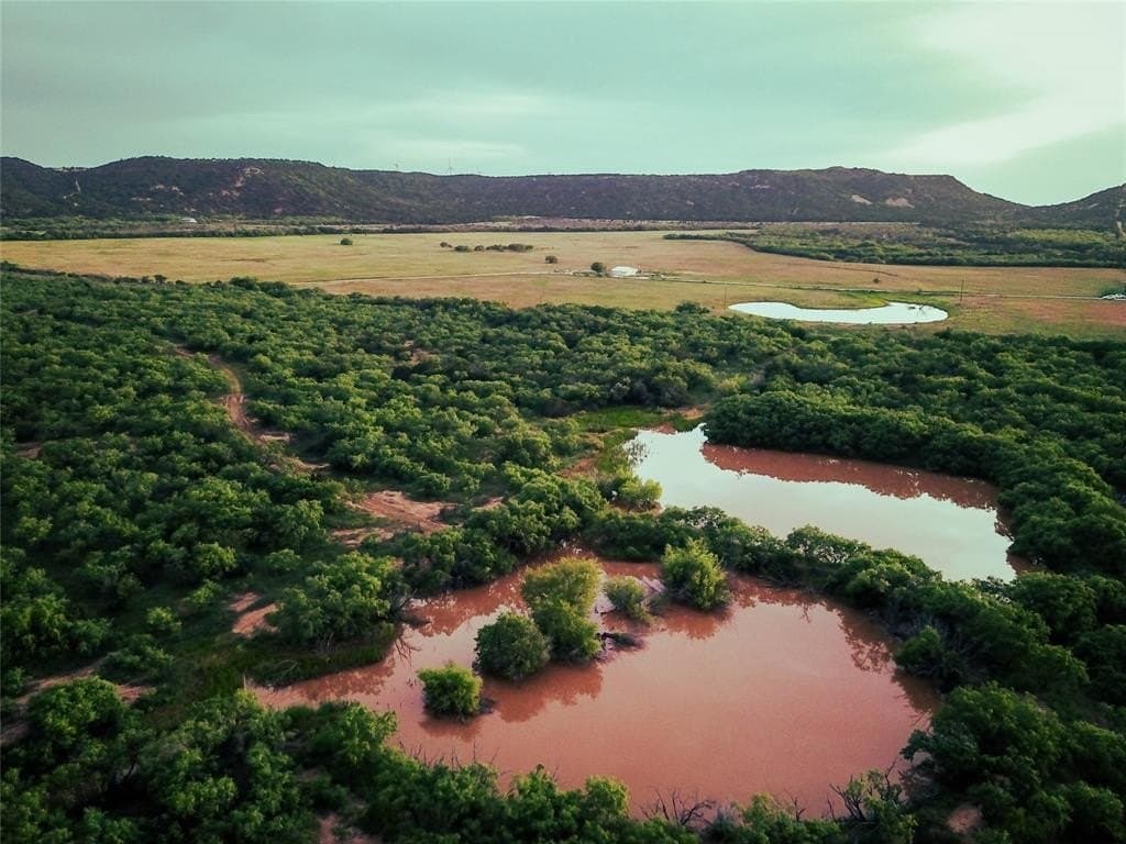 250 acres in Taylor County gallery image 2