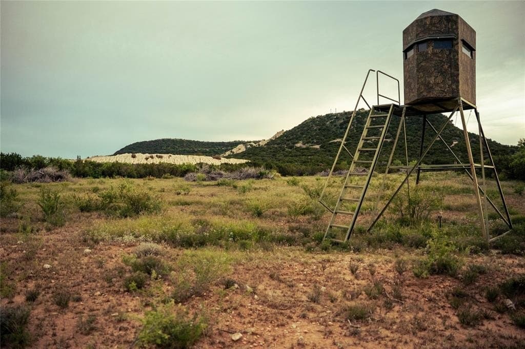 250 acres in Taylor County gallery image 4