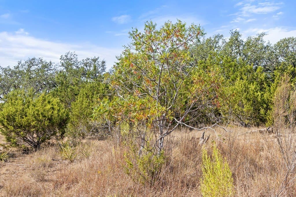 5.01 acres in Blanco County - photo 42