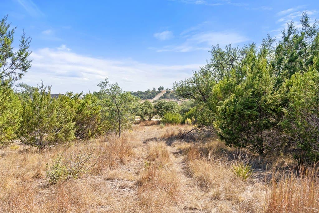 5.01 acres in Blanco County - photo 40