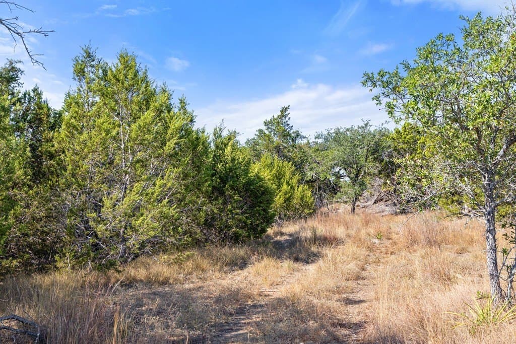 5.01 acres in Blanco County - photo 41