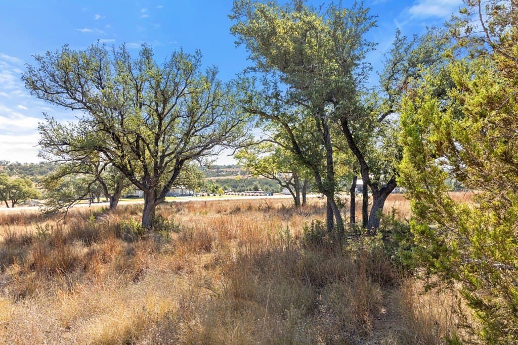 5.01 acres in Blanco County - photo 45