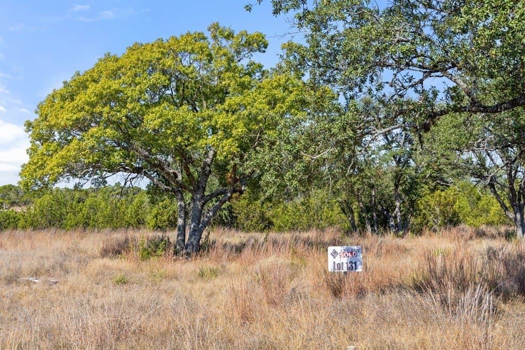 5.01 acres in Blanco County - photo 33